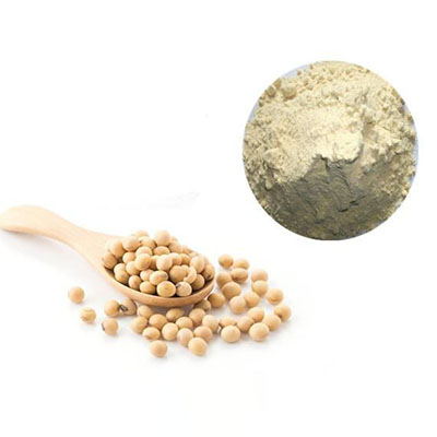 Soybean Protein