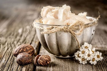 Introduction to Shea Butter Ingredients and Functions