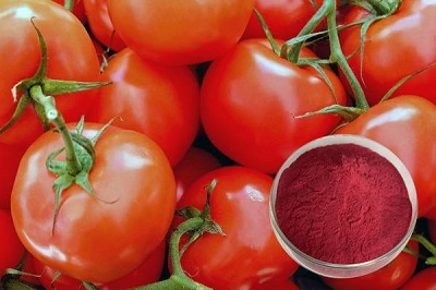 Knowledge Answers About Lycopene